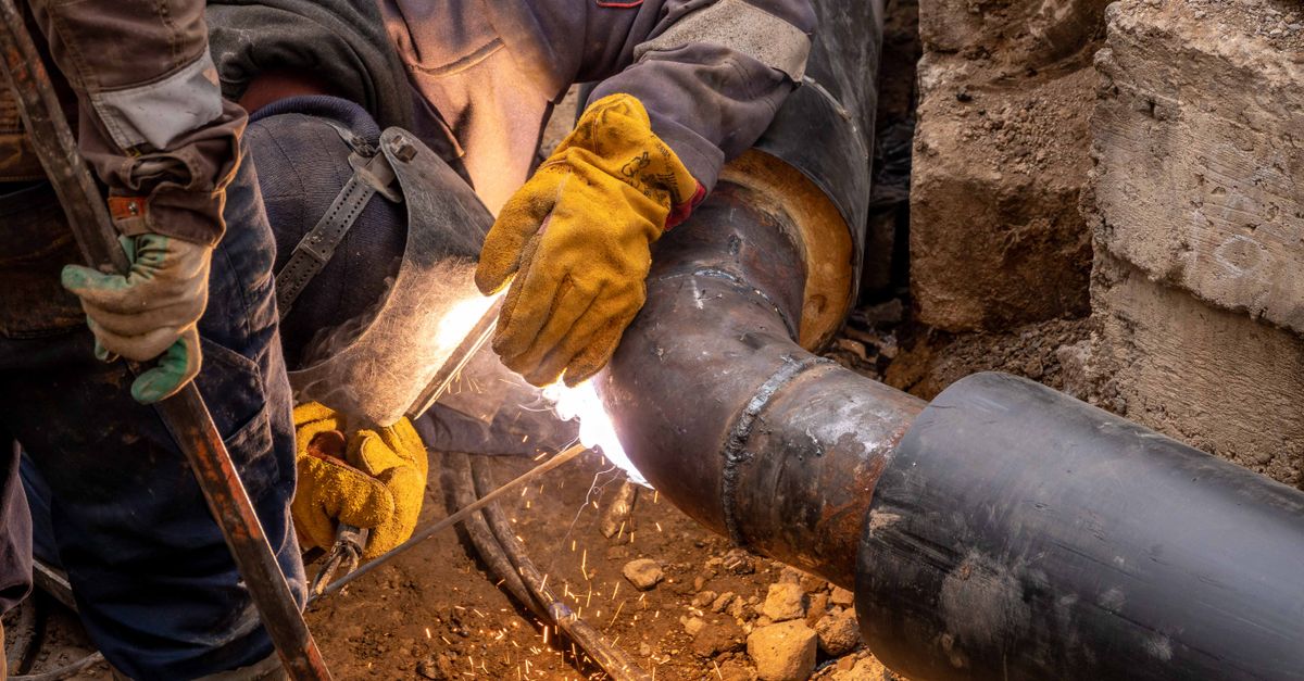 Emergency Tips for Dealing with Blocked Drains After Hours